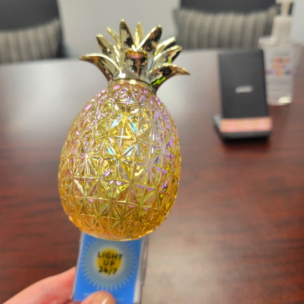 NWT pinapple wallflower